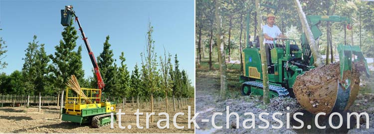 Crawler da 5 tonnellate sotto carwler e telaio